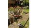 Landscaped front yard with blooming red roses and mature plants, adding charm and curb appeal at 170 Beatrice St, Dallas, GA 30157