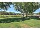 Expansive grassy backyard with mature trees and a wooden fence at 11 Trotters Ne Walk, Cartersville, GA 30121