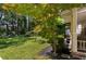 Lush green backyard showcasing beautiful landscaping with a cozy screened porch for relaxed outdoor living at 1071 Standard Ne Dr, Brookhaven, GA 30319