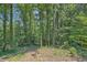 Beautiful view of the wooded backyard with mature trees offering privacy and a natural setting at 290 Bromack Se Dr, Atlanta, GA 30315