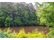 Scenic pond surrounded by lush greenery, creating a tranquil and peaceful environment in a wooded area at 2021 Towneship Trl, Roswell, GA 30075