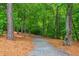 Wooded walking path with tall trees and mulch ground cover, perfect for nature walks and outdoor enjoyment at 2021 Towneship Trl, Roswell, GA 30075
