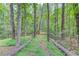 View of the wooded backyard showing mature trees and natural landscaping at 5345 Pilgrim Point Rd, Cumming, GA 30041