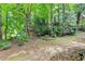 Private backyard with trees and a landscaped area provides a natural and secluded atmosphere at 1595 Chadberry Way, Lawrenceville, GA 30043