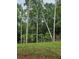 Scenic backyard bordered by a lush green forest, presenting a private and peaceful setting at 195 Silvercrest Dr, Acworth, GA 30101