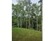 Scenic backyard bordered by a lush green forest, presenting a private and peaceful setting at 195 Silvercrest Dr, Acworth, GA 30101