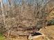View of wooded backyard with a stone terrace in foreground at 4217 Mill Grove Sw Ln, Smyrna, GA 30082