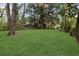 Expansive backyard space with mature trees, offering a serene outdoor setting at 5074 Park Ave, Forest Park, GA 30297