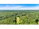 Lush green landscape showcasing a sprawling forest in this scenic area at 179 Hogan Rd, Brooks, GA 30205