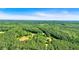 Beautiful view of the lush green landscape with trees as far as the eye can see at 179 Hogan Rd, Brooks, GA 30205