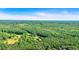 Lush green landscape showcasing a sprawling forest in this scenic area at 179 Hogan Rd, Brooks, GA 30205