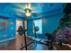 Finished basement gym, showcasing a colorful aquatic mural and workout equipment at 179 Hogan Rd, Brooks, GA 30205