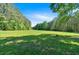 Expansive green lot surrounded by mature trees, offering privacy and natural beauty at 179 Hogan Rd, Brooks, GA 30205