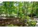 Wooded backyard with mature trees and a sloped landscape at 148 Bramble Oak Dr, Woodstock, GA 30188