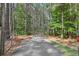 Scenic driveway leading through a lush, wooded landscape with a rustic metal fence at 625 Henderson Mill Rd, Covington, GA 30014