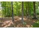 Lush wooded backyard offering shade and privacy, perfect for nature lovers at 1668 Macy Ln, Lawrenceville, GA 30043