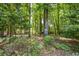 Scenic wooded area behind the property, creating a private and natural backdrop at 1668 Macy Ln, Lawrenceville, GA 30043