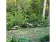 Lush backyard featuring mature trees, flowering plants, and vibrant greenery at 201 Jonquil Spring Rd, Woodstock, GA 30188