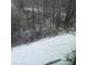Backyard in winter, covered in snow, surrounded by lush trees at 201 Jonquil Spring Rd, Woodstock, GA 30188
