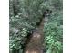 A creek flows through a wooded area filled with lush green vegetation at 201 Jonquil Spring Rd, Woodstock, GA 30188
