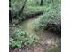A tranquil creek flowing through a lush, green wooded area, offering a serene natural view at 201 Jonquil Spring Rd, Woodstock, GA 30188