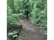 Outdoor trail with wooded views and path leading into the distance at 201 Jonquil Spring Rd, Woodstock, GA 30188