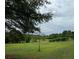 Lush green backyard with mature trees, vines and open space at 526 Spring Place Ne Rd, White, GA 30184