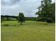 Lush green land with mature trees in the background, creating a peaceful, natural environment at 526 Spring Place Ne Rd, White, GA 30184