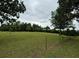 Picturesque view of land surrounded by trees, featuring ample greenery and open space at 526 Spring Place Ne Rd, White, GA 30184
