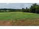Expansive grassy land, surrounded by green trees, featuring ample space and picturesque surroundings at 526 Spring Place Ne Rd, White, GA 30184