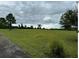 Lush green grassy land with open space, complemented by mature trees in a tranquil, picturesque setting at 526 Spring Place Ne Rd, White, GA 30184