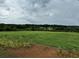 Expansive grassy land, featuring lush green trees and a vast picturesque field at 526 Spring Place Ne Rd, White, GA 30184