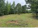 Expansive grassy land surrounded by lush green trees offers a secluded and peaceful setting at 526 Spring Place Ne Rd, White, GA 30184