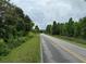 Scenic view of a country road lined with lush greenery and trees at 526 Spring Place Ne Rd, White, GA 30184