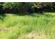 View of a grassy backyard at 2628 Amberly Dr, Dunwoody, GA 30360