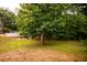 Backyard featuring a large shade tree and an above-ground pool area in a partially wooded lot at 200 Scouts Ridge Dr, Covington, GA 30016