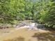 Scenic creek surrounded by lush greenery and trees at 13795 Arnold Mill Rd, Roswell, GA 30075