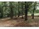 Wooded backyard with mature trees and foliage create a tranquil, private outdoor space at 8394 Banks Mill Rd, Douglasville, GA 30135