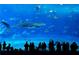 Aquarium viewing area with a whale shark, manta rays, and people observing at 827 Fraser Se St, Atlanta, GA 30315