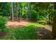 Lush backyard with mature trees and a wooden fence at 6505 Whispering Ln, Atlanta, GA 30328