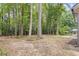 The spacious backyard provides plenty of room for outdoor activities and enjoying nature at 4847 Royal Dr, Duluth, GA 30096