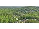 High aerial view of the community, showing off the canopy of trees at 1097 Soaring Way, Marietta, GA 30062