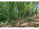 A spacious backyard with mature trees and a natural, sloped landscape at 4999 Willow Creek Dr, Woodstock, GA 30188