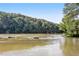 Scenic river view with lush green trees lining the riverbank creates a tranquil and picturesque setting at 1027 Riverbend Club Se Dr, Atlanta, GA 30339