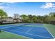 View of the community tennis courts with landscaping and community homes in the background at 3925 Tugaloo River Dr, Duluth, GA 30097