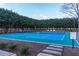 Community pickleball court, perfect for recreational activities and outdoor enjoyment at 10 Perimeter Summit Ne Blvd # 4315, Brookhaven, GA 30319