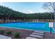 Outdoor pickleball courts surrounded by lush landscaping, perfect for recreational activities at 10 Perimeter Summit Ne Blvd # 4315, Brookhaven, GA 30319