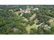 Aerial view showcasing the lush landscape with surrounding trees and the quaint countryside neighborhood at 123 Nelson Street, Newborn, GA 30056