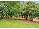 Green lawn with mature trees and a picnic table create a serene outdoor space at 3142 Chamblee Gap Rd, Cumming, GA 30040
