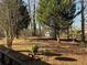 Wooded backyard with view from deck at 4756 Manly Ct, Stone Mountain, GA 30088
